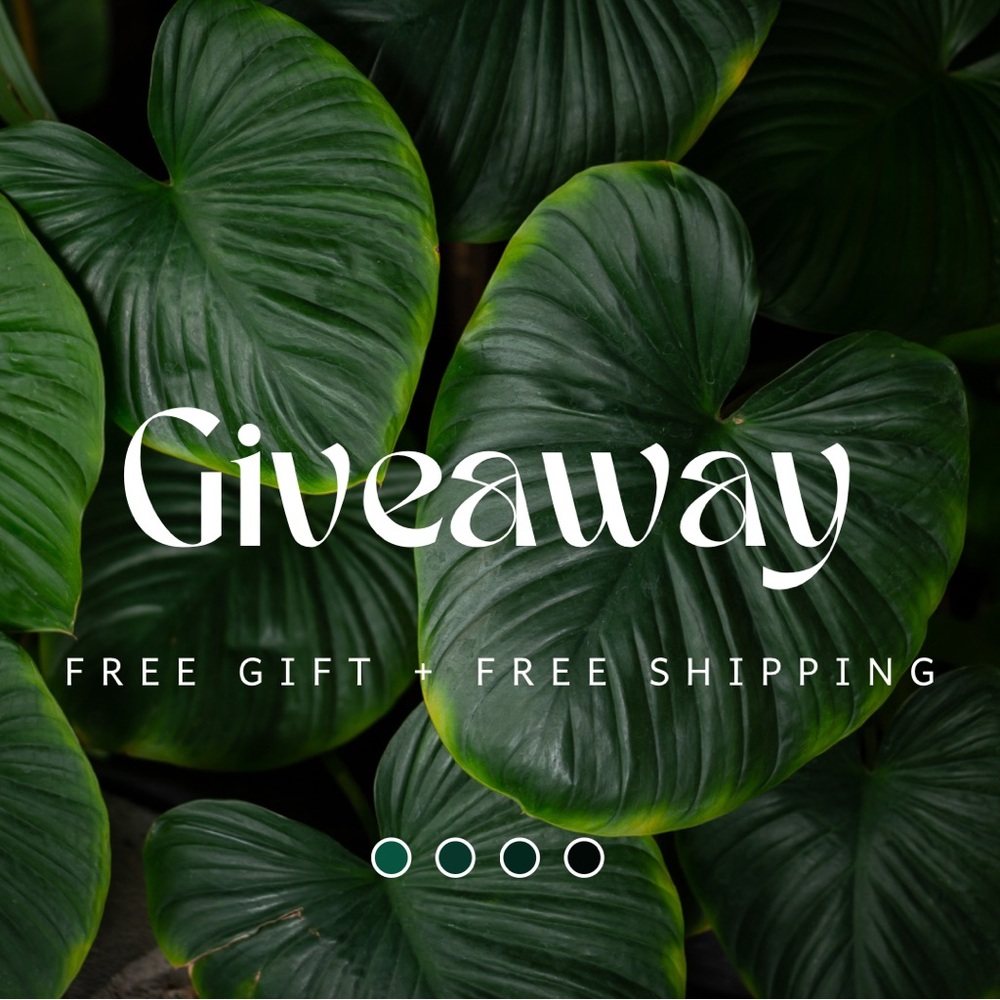 Giveaway! FREE GIFT + FREE SHIPPING!